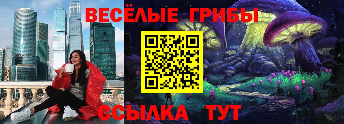 Галлюциногенные грибы прущие грибы Нижний Новгород